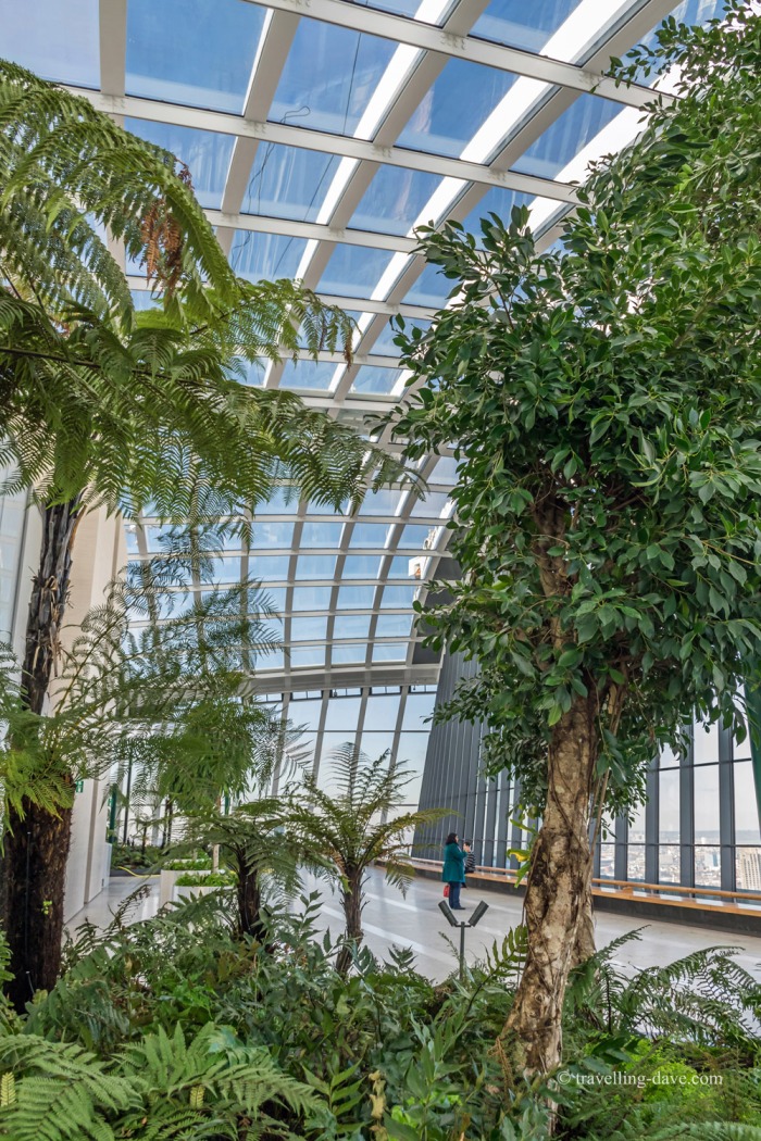 View of some of the Sky Garden plants