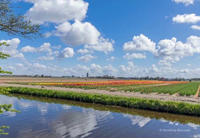 Clouds reflecting in the water at Holland's tulip fields
